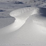 snow waves sculpted by the wind