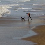 Walking the Dog on Compton Beach