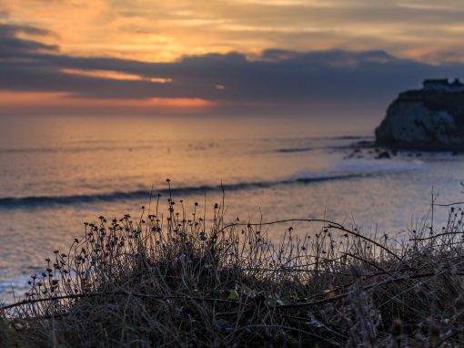 Finally another Isle of Wight Surf photo blog.
