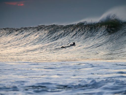Dawn Patrol Photo Blog from Freshwater Bay.
